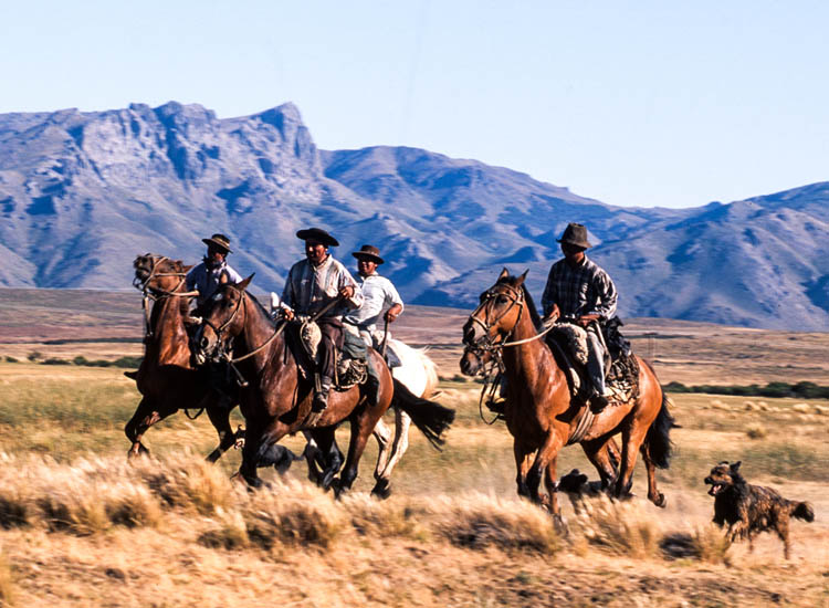 La galoppata dei gauchos ai confini della pampa patagonica.